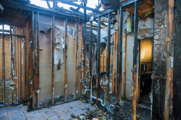 Professional Fire Damage Removal technician working in Lake City, IA